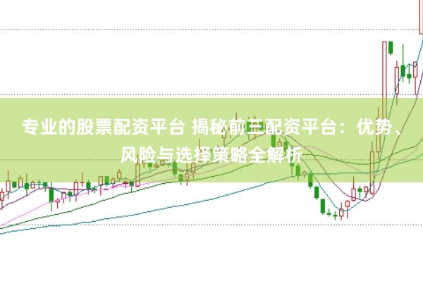 专业的股票配资平台 揭秘前三配资平台：优势、风险与选择策略全解析