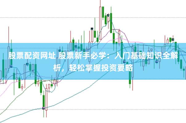 股票配资网址 股票新手必学：入门基础知识全解析，轻松掌握投资要略