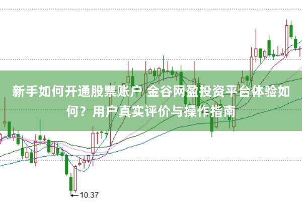 新手如何开通股票账户 金谷网盈投资平台体验如何？用户真实评价与操作指南