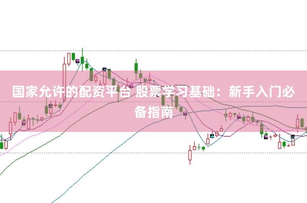 国家允许的配资平台 股票学习基础：新手入门必备指南