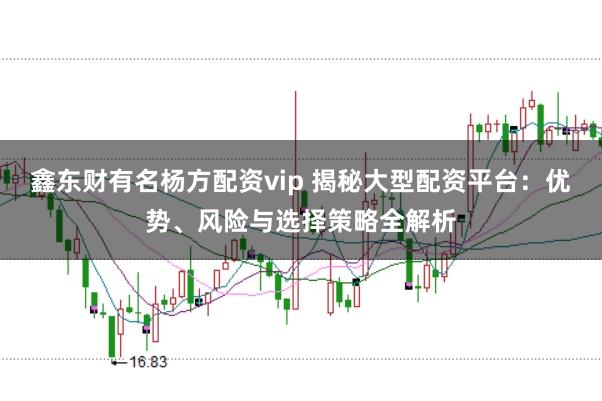 鑫东财有名杨方配资vip 揭秘大型配资平台：优势、风险与选择策略全解析