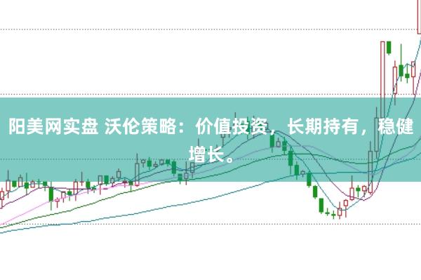 阳美网实盘 沃伦策略：价值投资，长期持有，稳健增长。