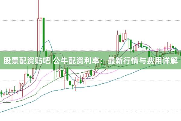 股票配资贴吧 公牛配资利率：最新行情与费用详解
