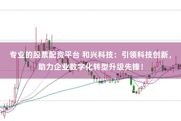 专业的股票配资平台 和兴科技：引领科技创新，助力企业数字化转型升级先锋！