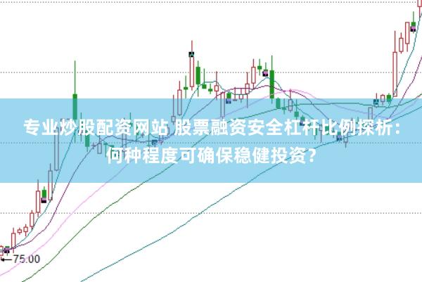 专业炒股配资网站 股票融资安全杠杆比例探析：何种程度可确保稳健投资？