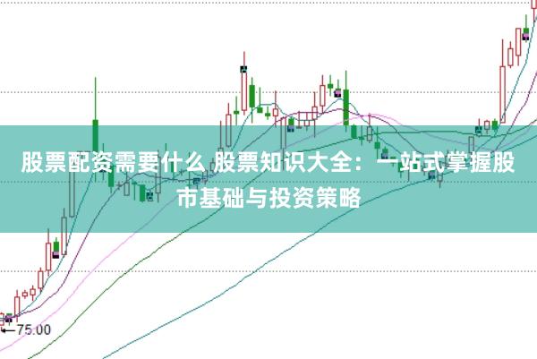 股票配资需要什么 股票知识大全：一站式掌握股市基础与投资策略