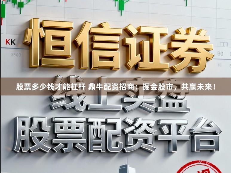 股票多少钱才能杠杆 鼎牛配资招商：掘金股市，共赢未来！